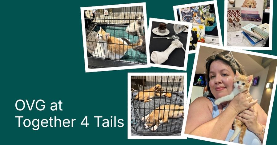 OVG at Together 4 Tails