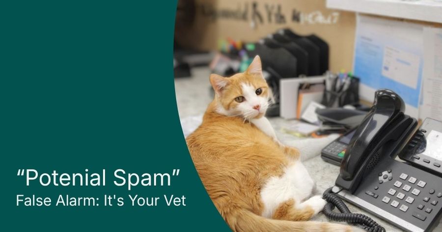 PSA: Why Our Calls May Show as “Potential Spam”